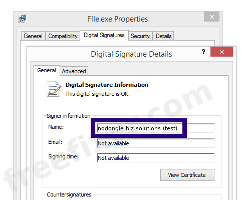 Screenshot of the nodongle.biz solutions (test) certificate